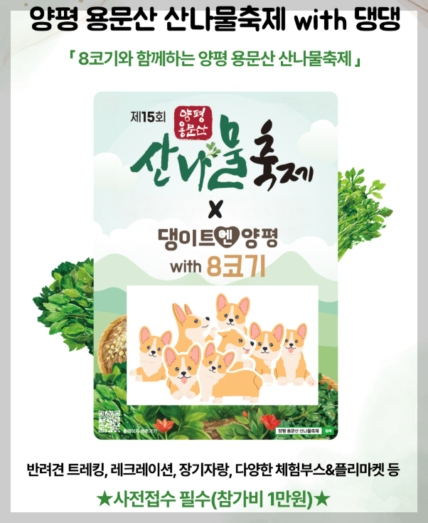 용문산 산나물축제