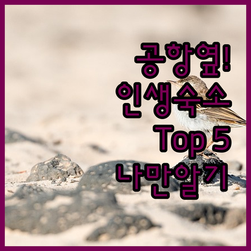 스페인 그란 카나리아 공항 근처에 숨..