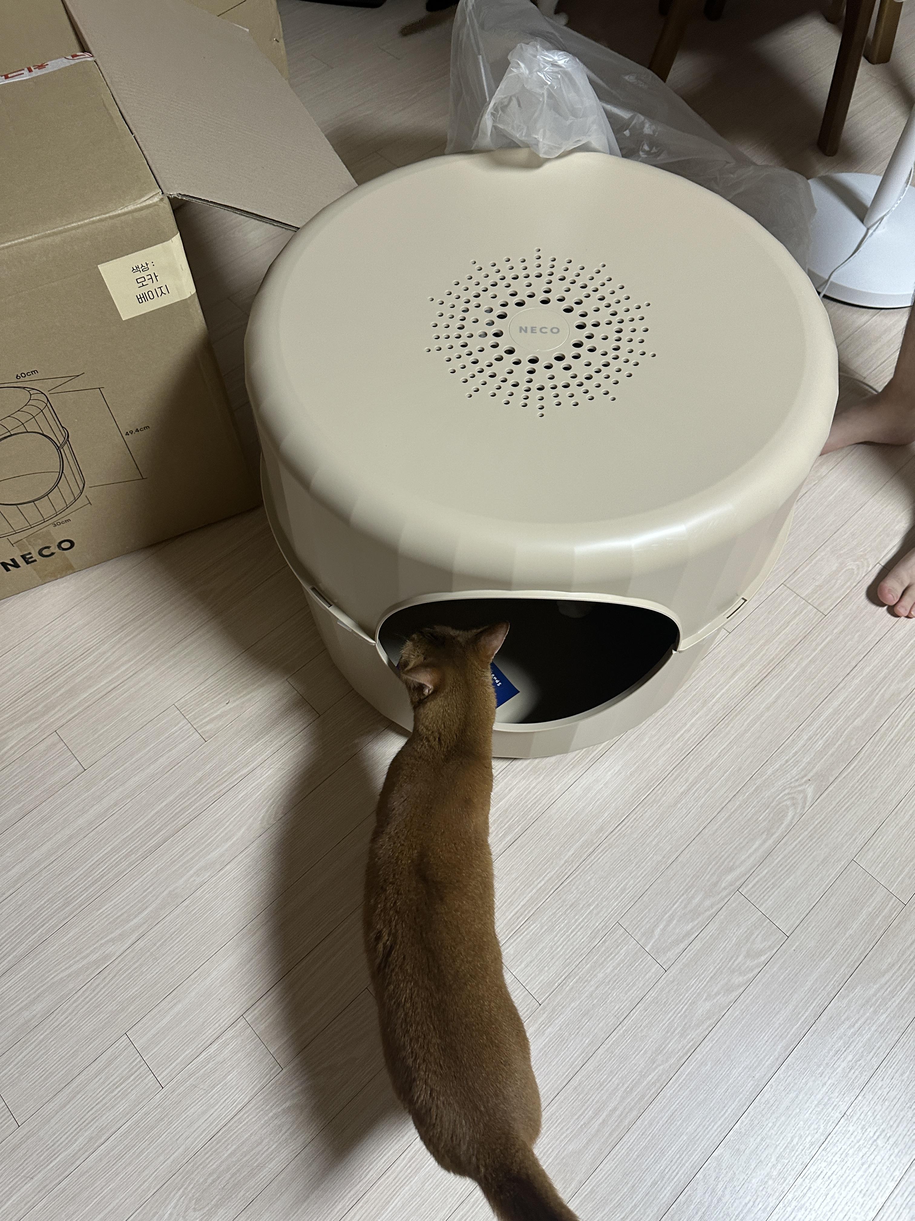 고양이들_새로운_하우스_마카롱_하우스_(마카롱_리터박스)_2