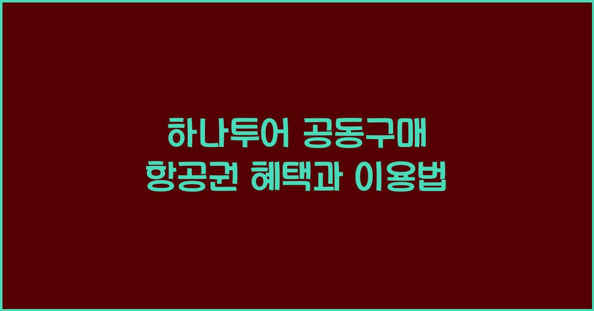 하나투어 공동구매 항공권