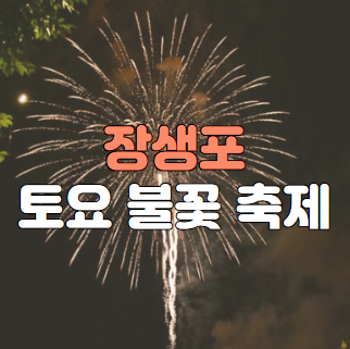장생포 토요 불꽃 축제