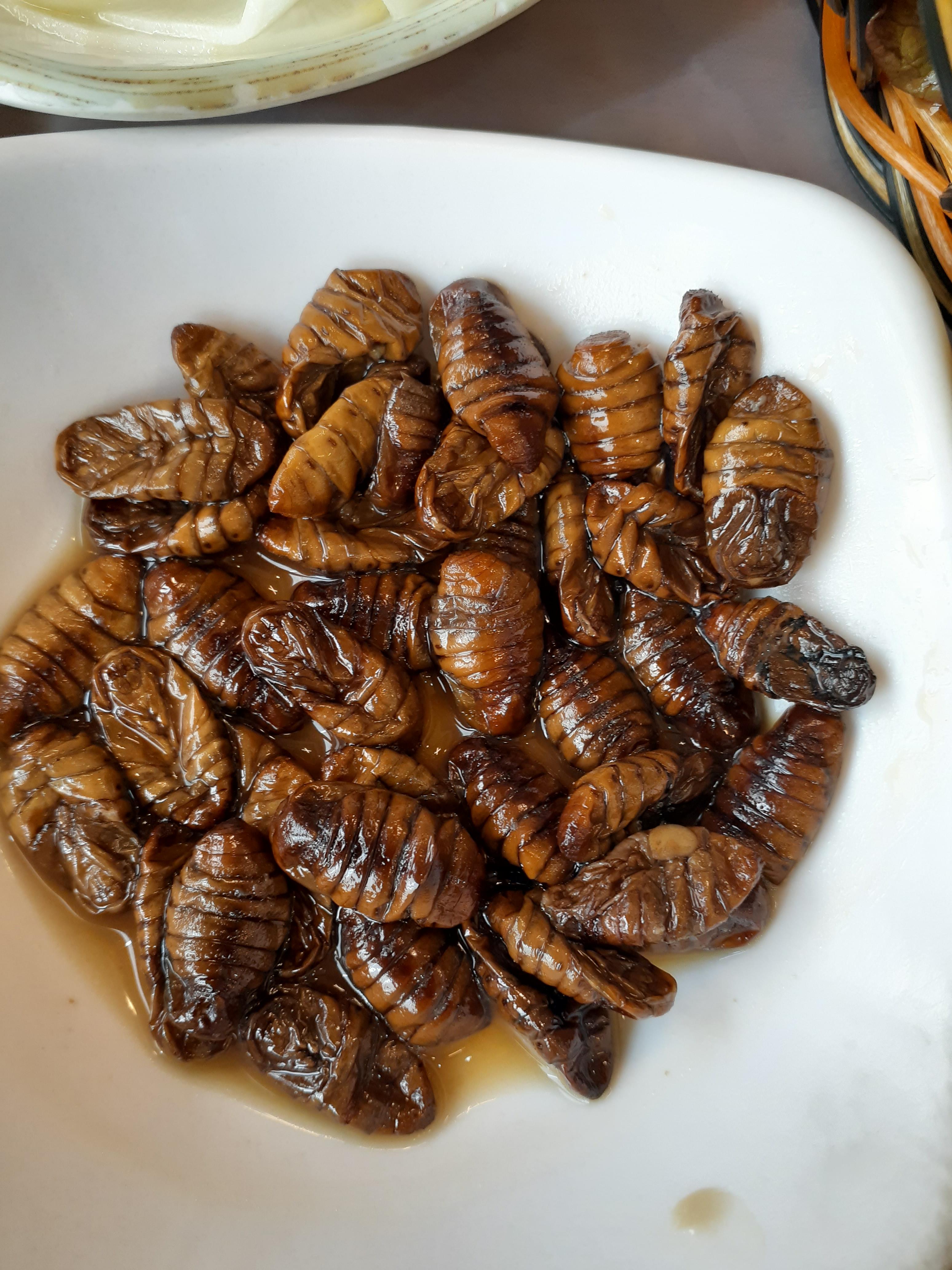 춘천메밀촌닭갈비