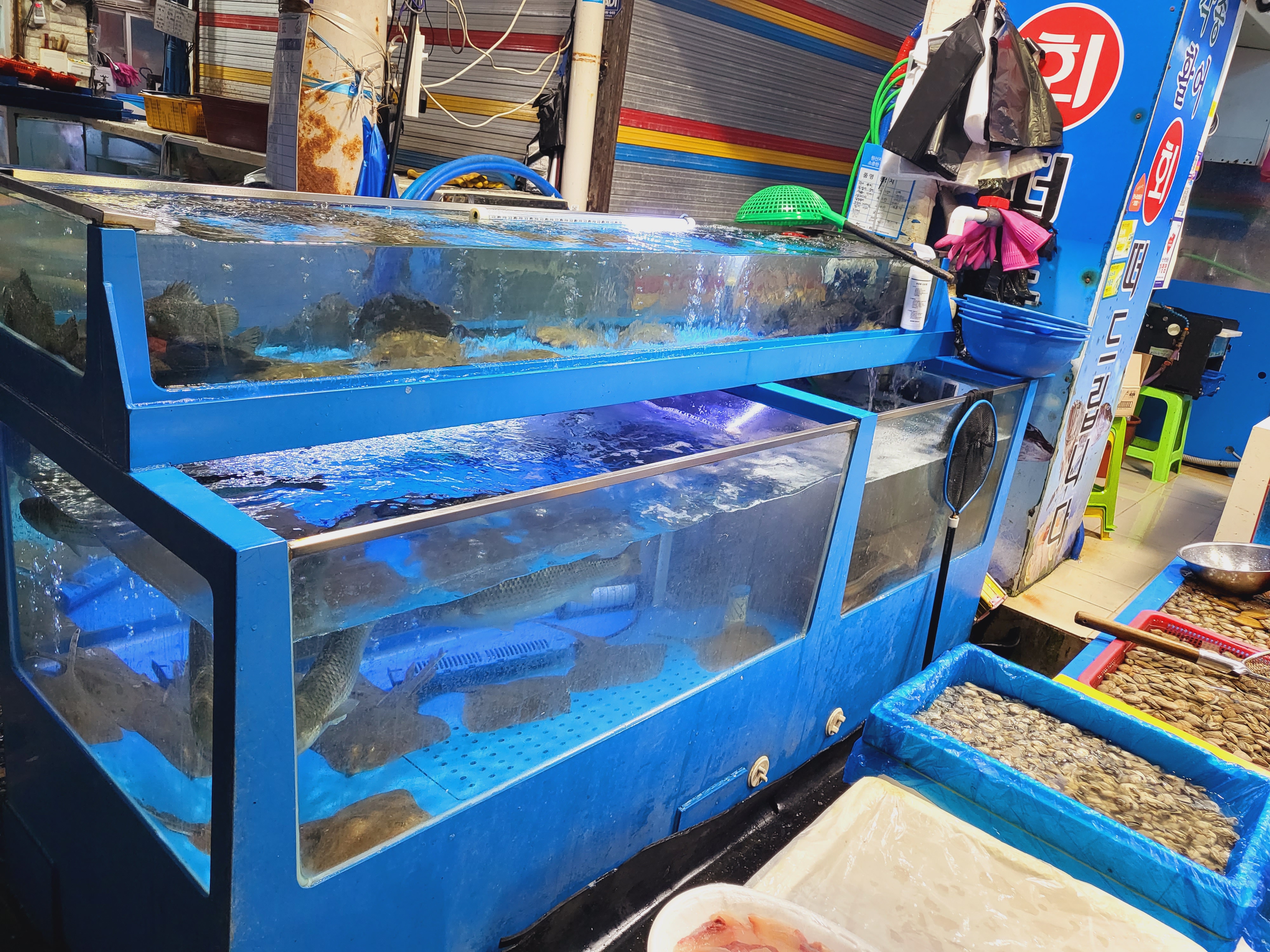 오빠 생일-서산여행13