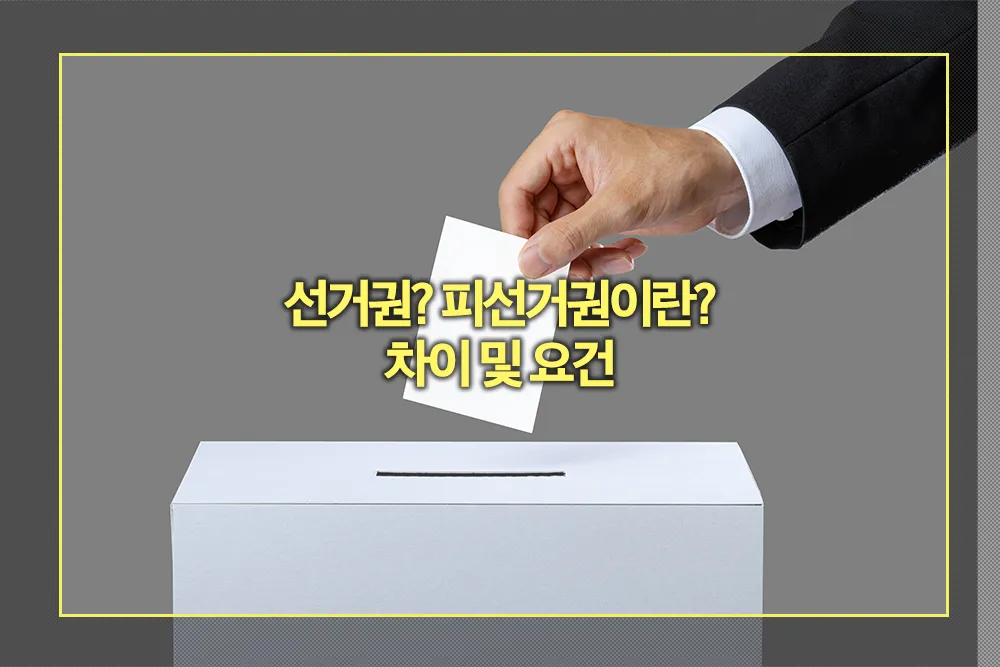 선거권 피선거권 뜻 차이 요건