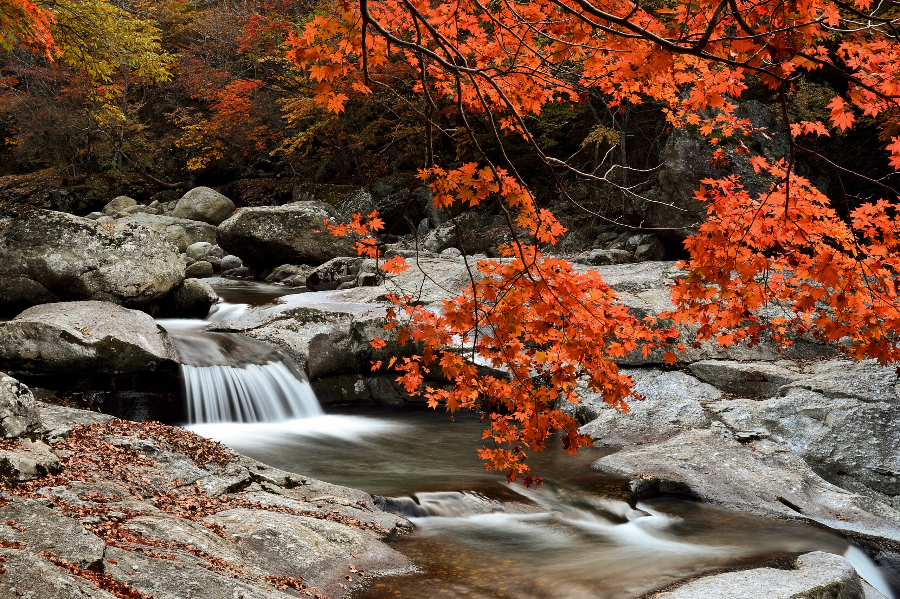지리산 가을 숲 산책