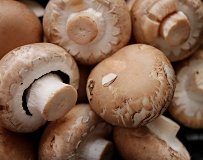 골다공증에 좋은 음식