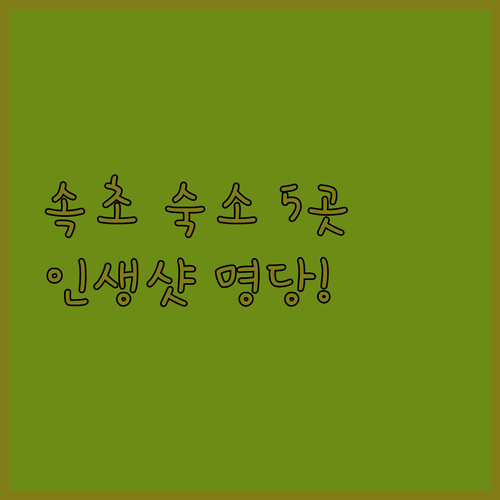 속초 숙소 5곳 위치 장점 사진으로 ..