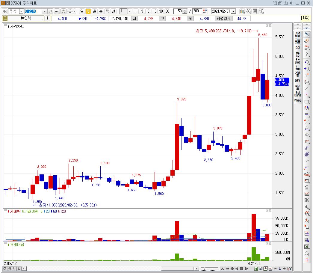 뉴인텍 주봉 주가 변동 흐름