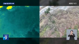 늑구 포획 현상금 청주 암컷 AI사진 총정리