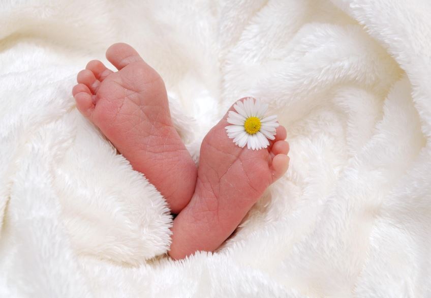 주민등록사실조사_경제