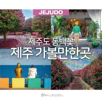 제주 가볼만한곳 맛집 카페 추천 겨울 현지인 코스_4