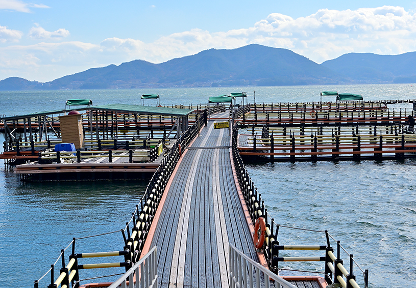 비토해양낚시공원