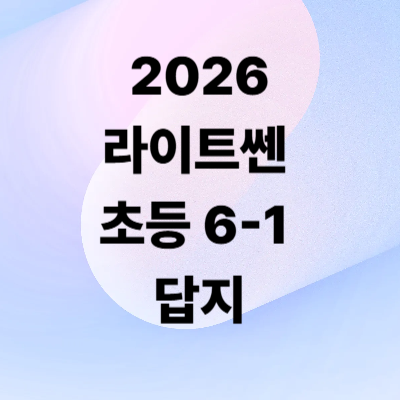 2026 라이트쎈 초등수학 6-1 답지