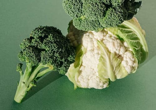 에스트로겐 십자화과