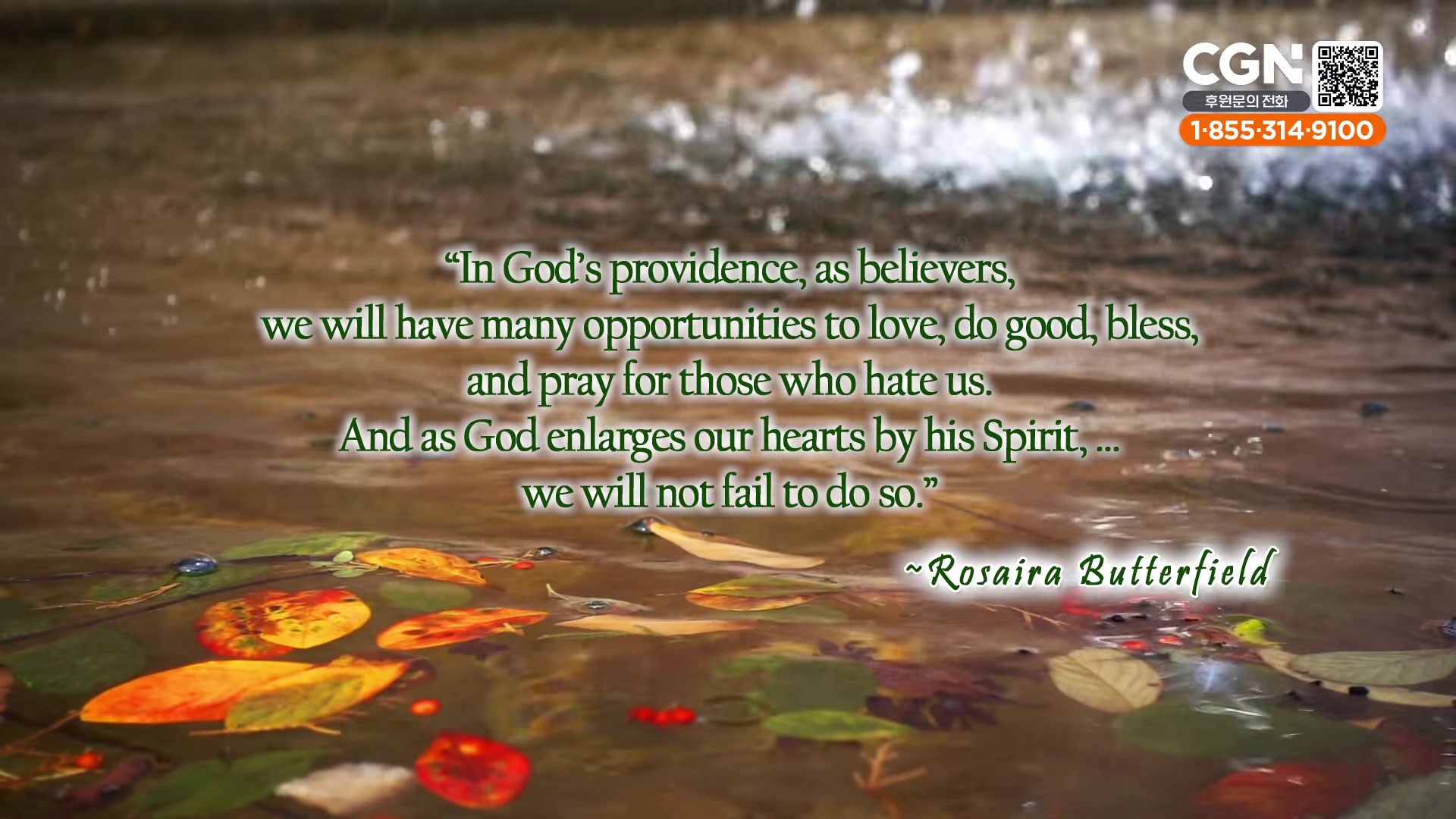"In God's providence, as believers, we will have many opportunities to love, do good, bless, and pray for those who hate us. And as God enlarges our hearts by his Spirit, we will not fail to do so." ... ~Rosaira Butterfield