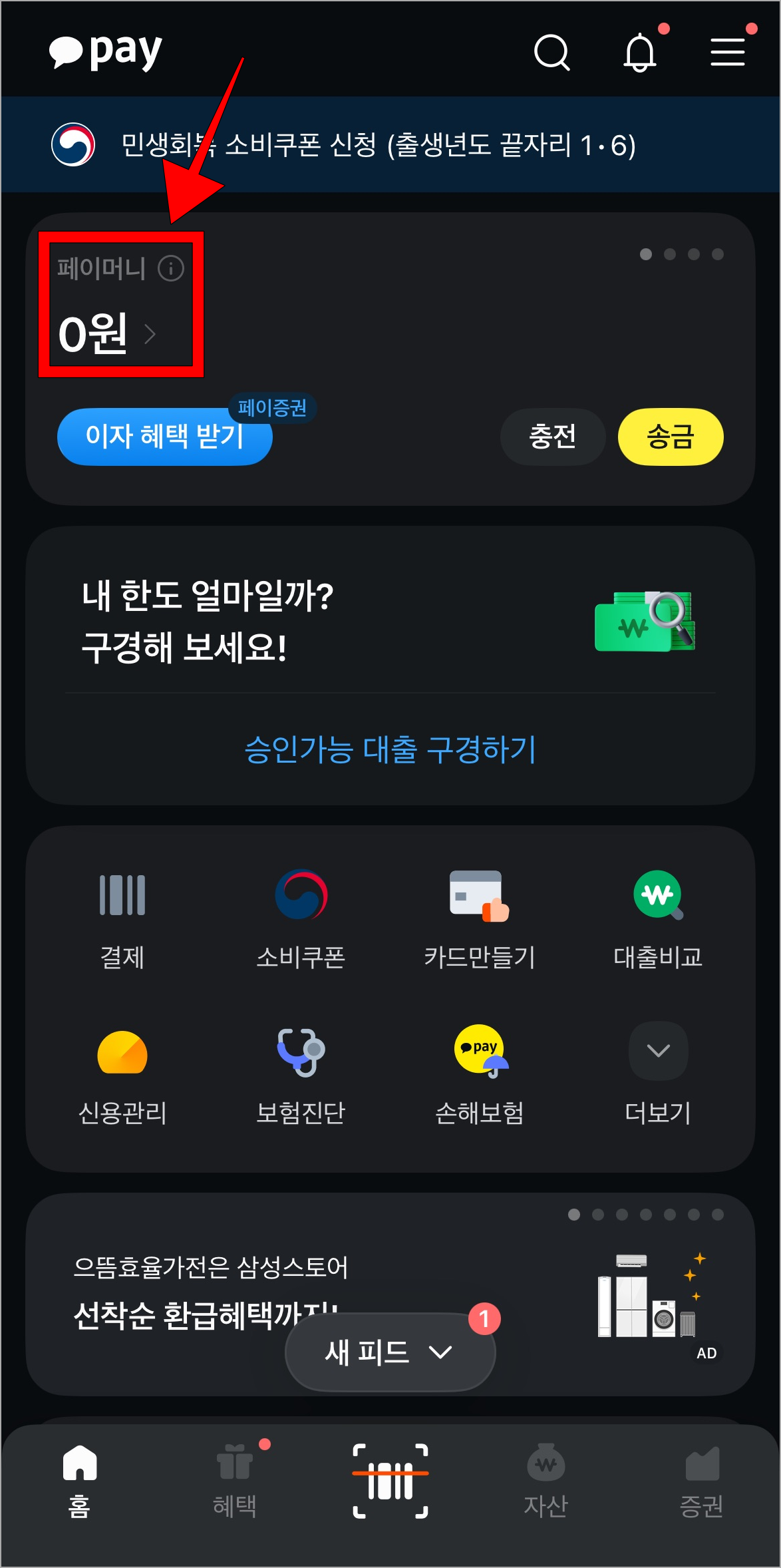 카카오페이에 접속하고, 페이머니를 선택
