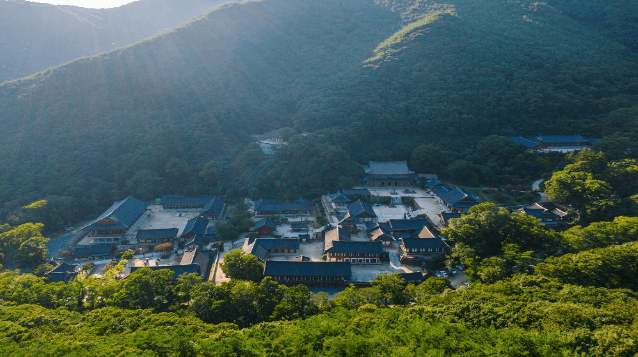  3월 봄꽃 여행지 추천 