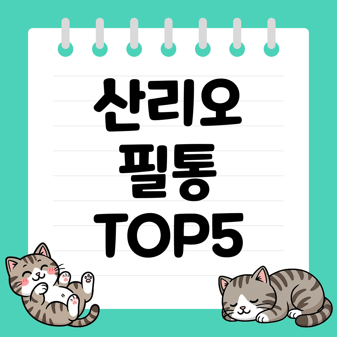 새학기 선물로 좋은 산리오 필통 추천 순위 TOP5