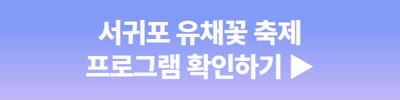 서귀포 유채꽃 축제
