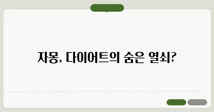 자몽 효능 다이어트에 효과적일까 부작용까지 정리