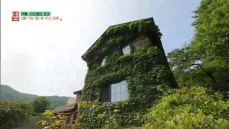 전세보증보험