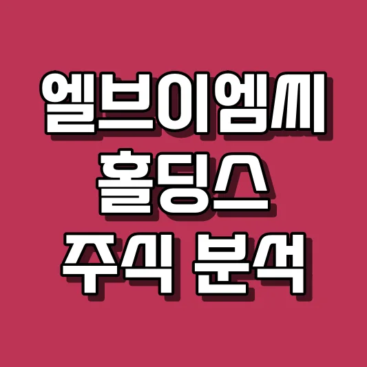 엘브이엠씨홀딩스 주식 분석