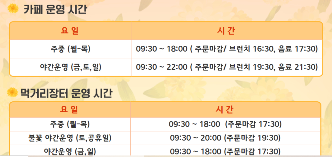 피나클랜드 불꽃놀이