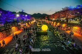 2024 청춘 금오천 벚꽃페스티벌 여기서 다시 봄 축제 기본일정과 프로그램 일정