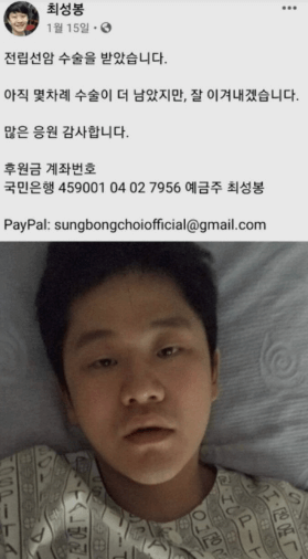 최성봉
