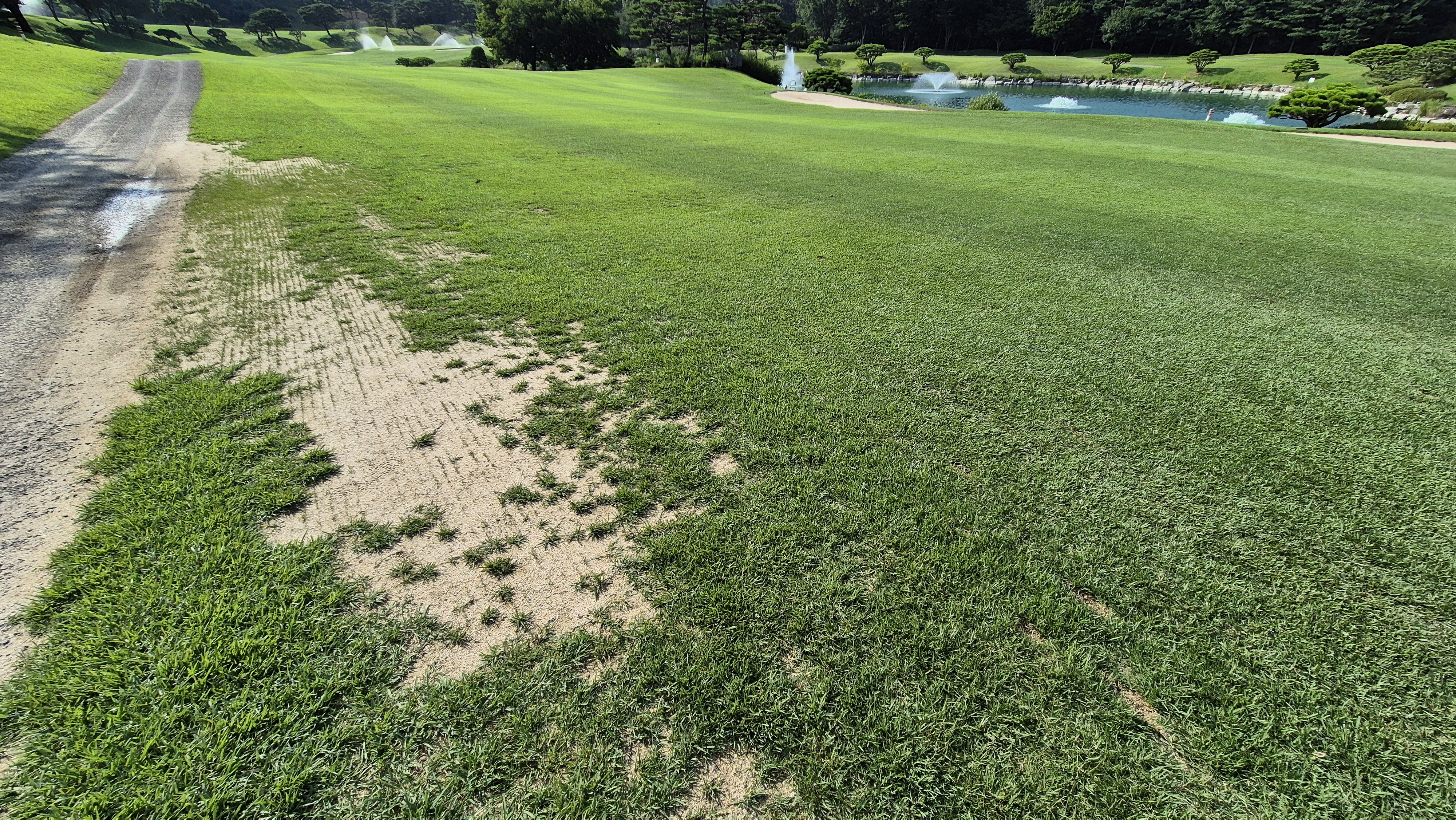 태광cc 북-서 코스 라운드 후기