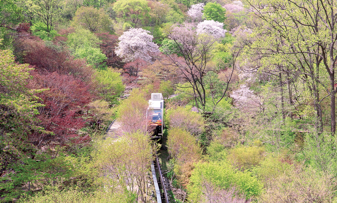 화담숲모노레일