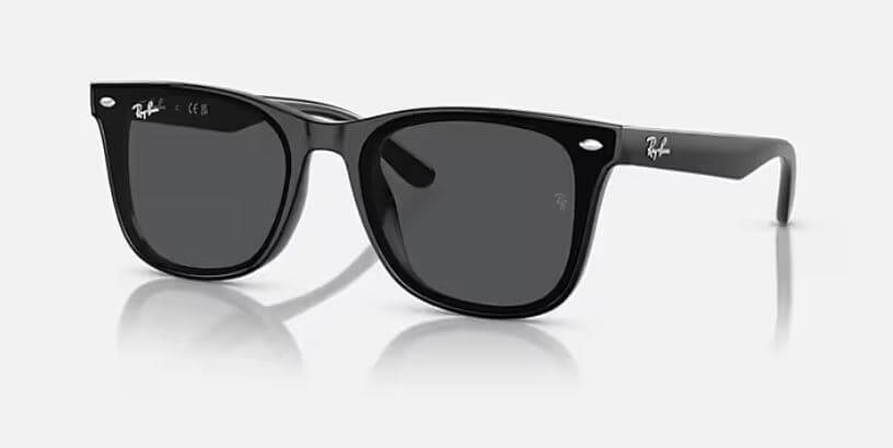 레이벤 4420 선글라스