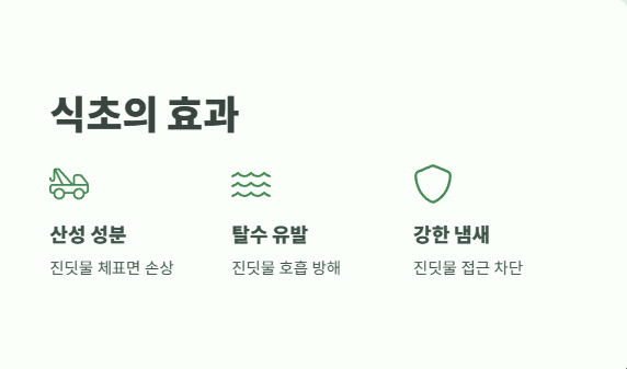 진딧물 천연 살충제 식초로 해결하는 완벽 가이드 2