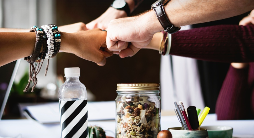 협동과 관련된 사진