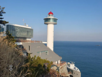 부산 태종대 수국축제