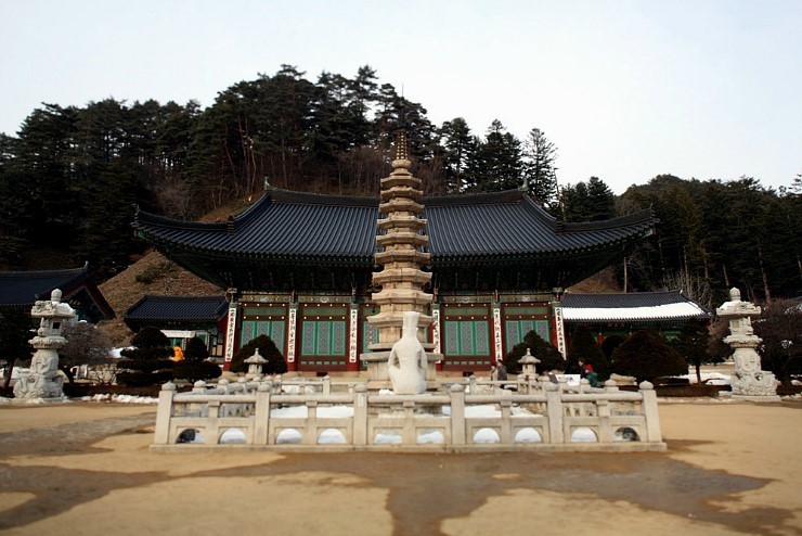 대체텍스트