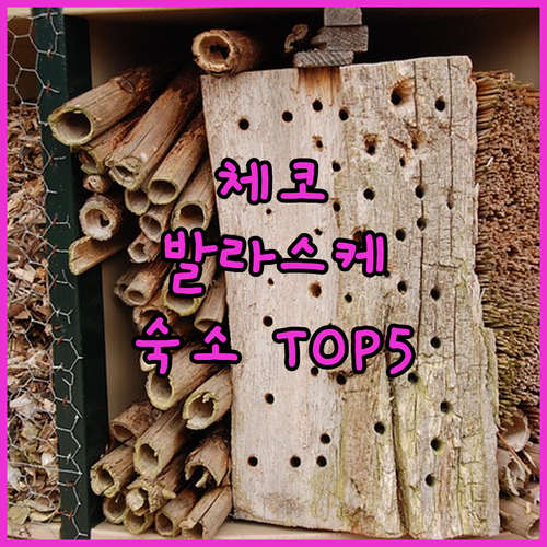 나만 알고 싶은 체코 발라스케 메지리..