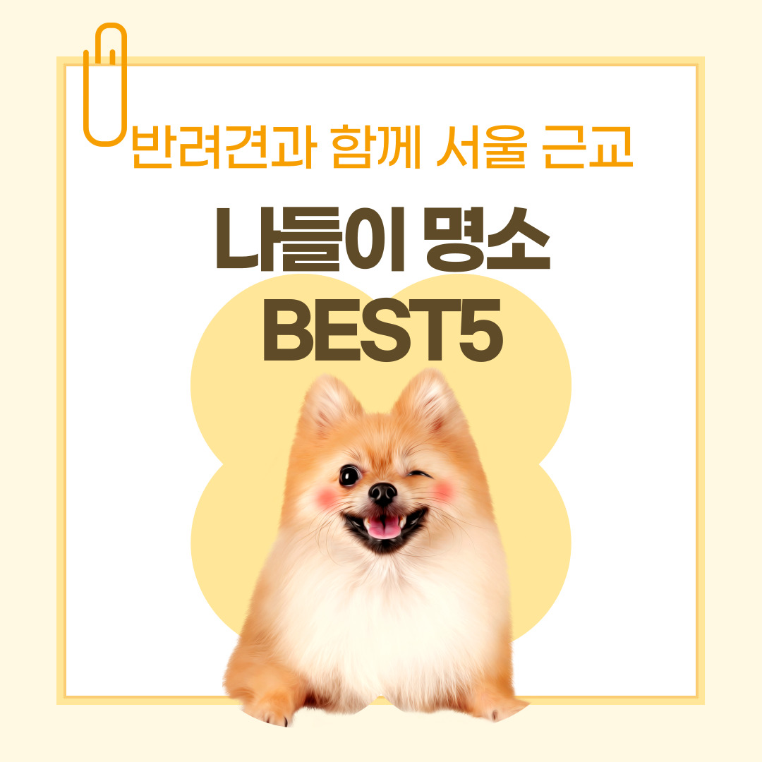 반려견과-함께-서울-근교-나들이-명소-BEST-5