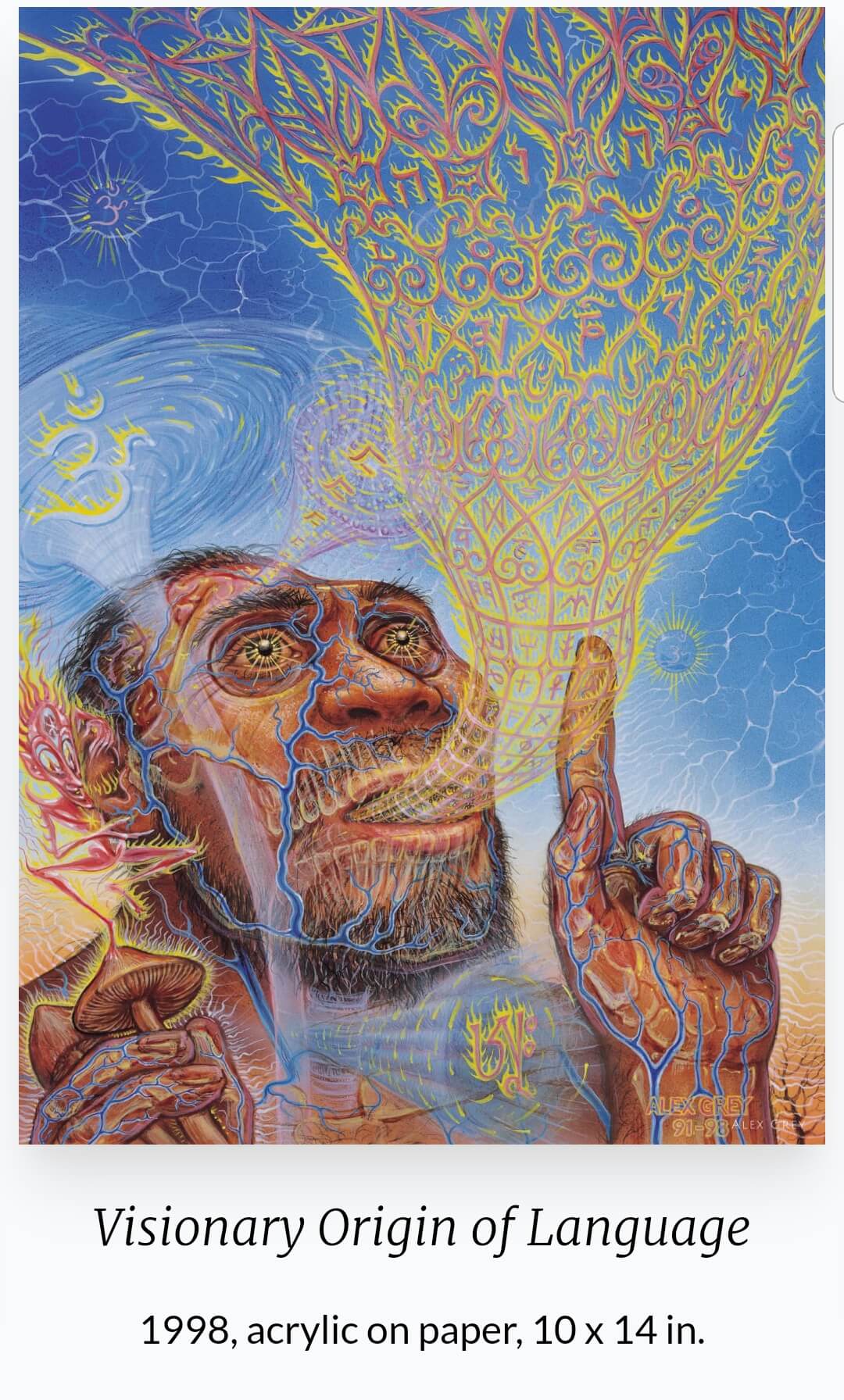 Alex Grey (1953~ ) 작품
'Visionary Origin of Language'