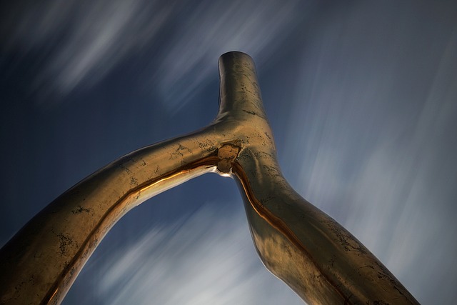 잠수교 뚜벅뚜벅 축제 2025 기본정보 일정 프로그램 사전예약