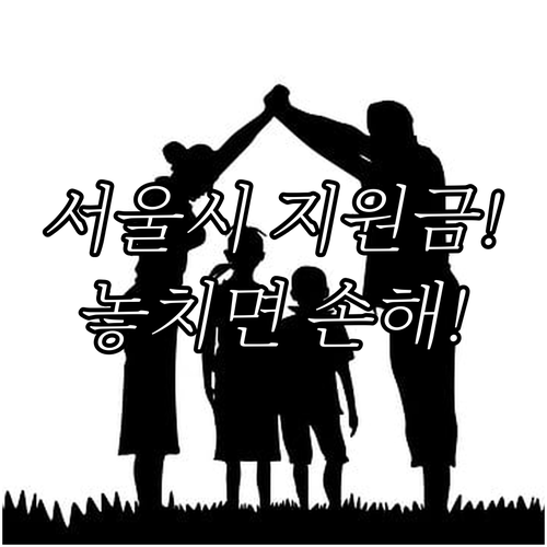 서울시 출산 가정 필수 혜택! 202..