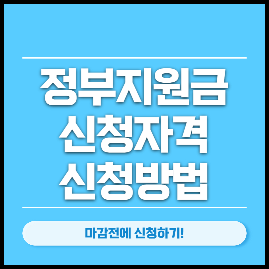 정부지원금