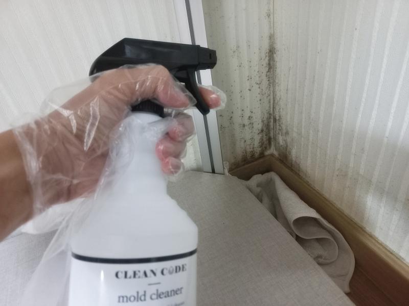 실내 벽지 곰팡이 제거 방법