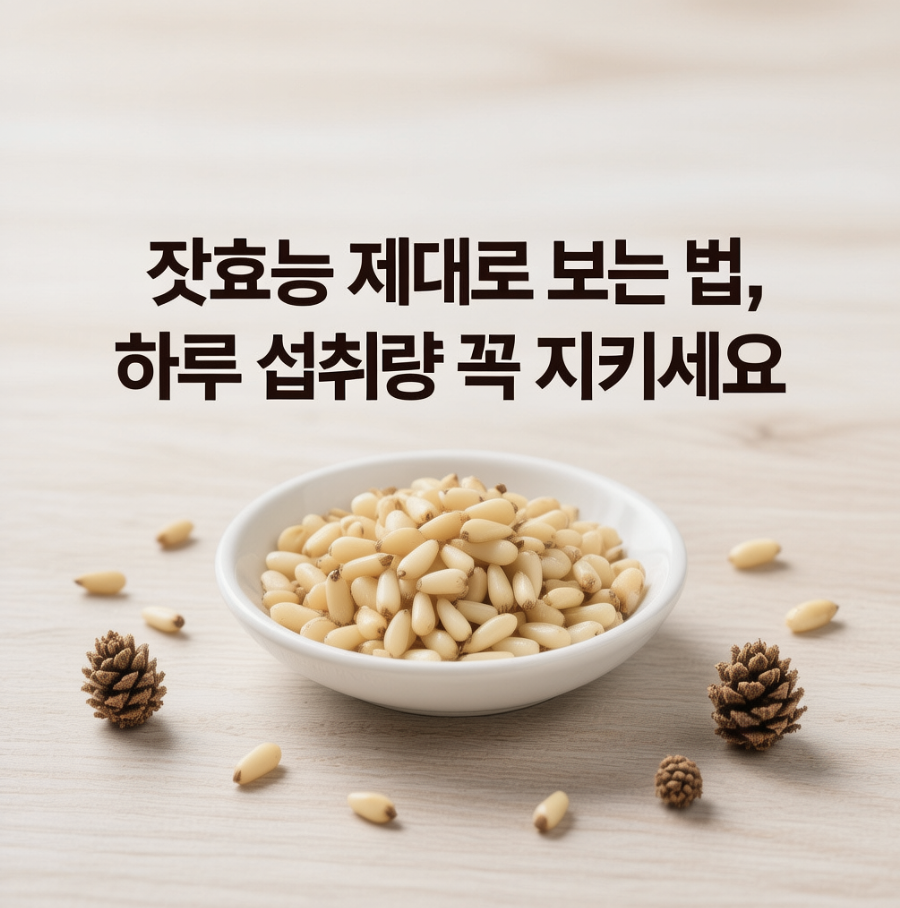 잣효능 제대로 보는 법, 하루 섭취량 꼭 지키세요