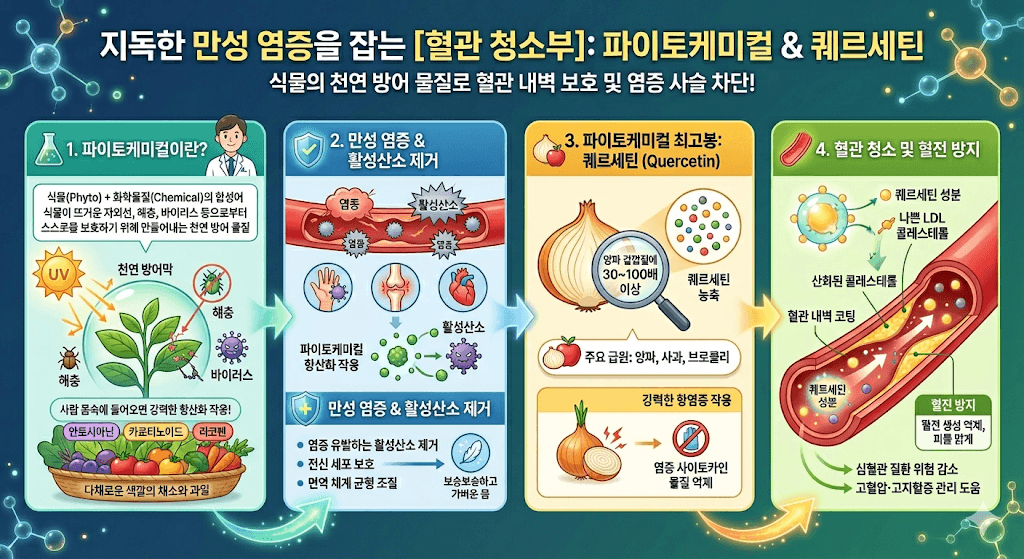 파이토케미컬의 효능