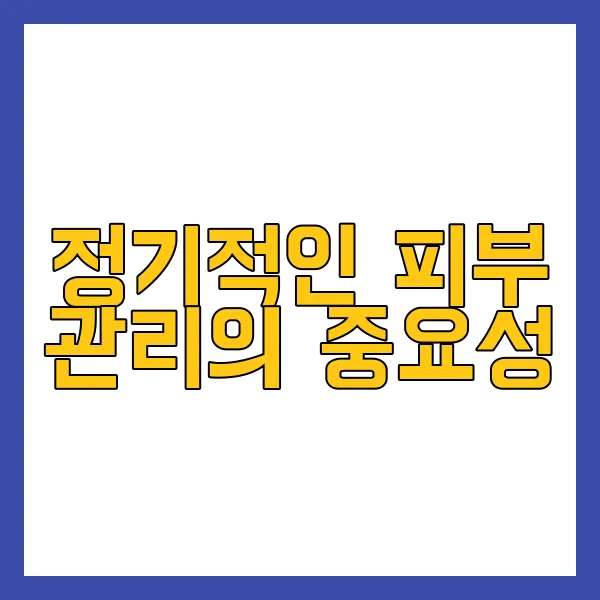 피부 노화
