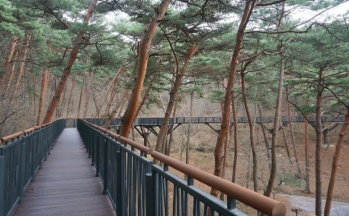 1월 충청남도 가볼만한곳 추천 ❘ 새해 신년 국내 겨울 나들이 여행지 ❘ 충청도 명소 ❘ 데이트 가족