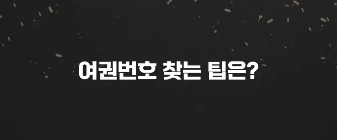 내 여권번호 잊었다면? 간단 조회 방법 (온라인 가능?)