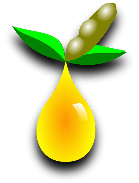 도시 농업과 바이오 연료 : 농업 부산물로 만드는 에너지