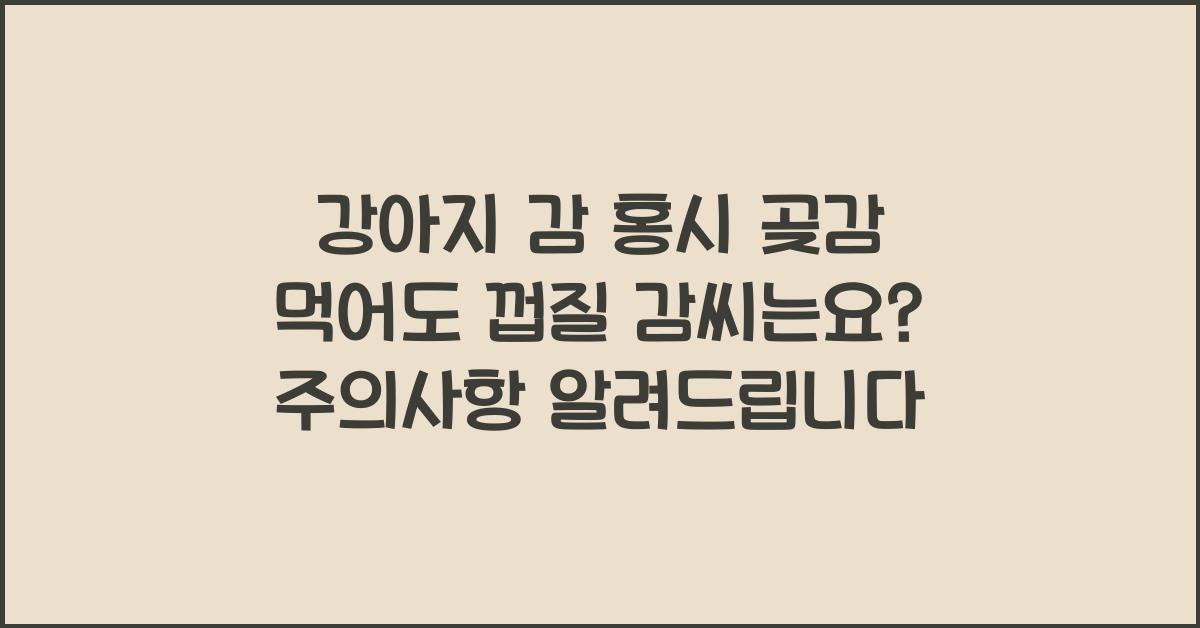 강아지 감 홍시 곶감 먹어도 껍질 감씨는요?
